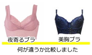 寄るブラ美胸ブラ比較