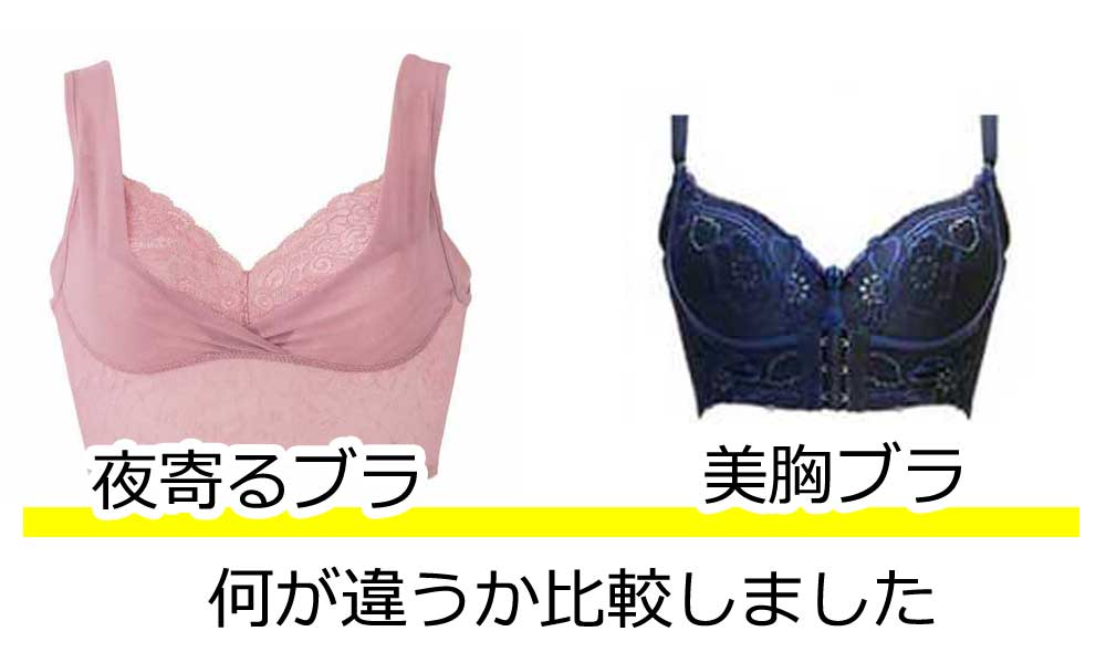 寄るブラ美胸ブラ比較